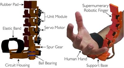 An EMG Interface for the Control of Motion and Compliance of a Supernumerary Robotic Finger